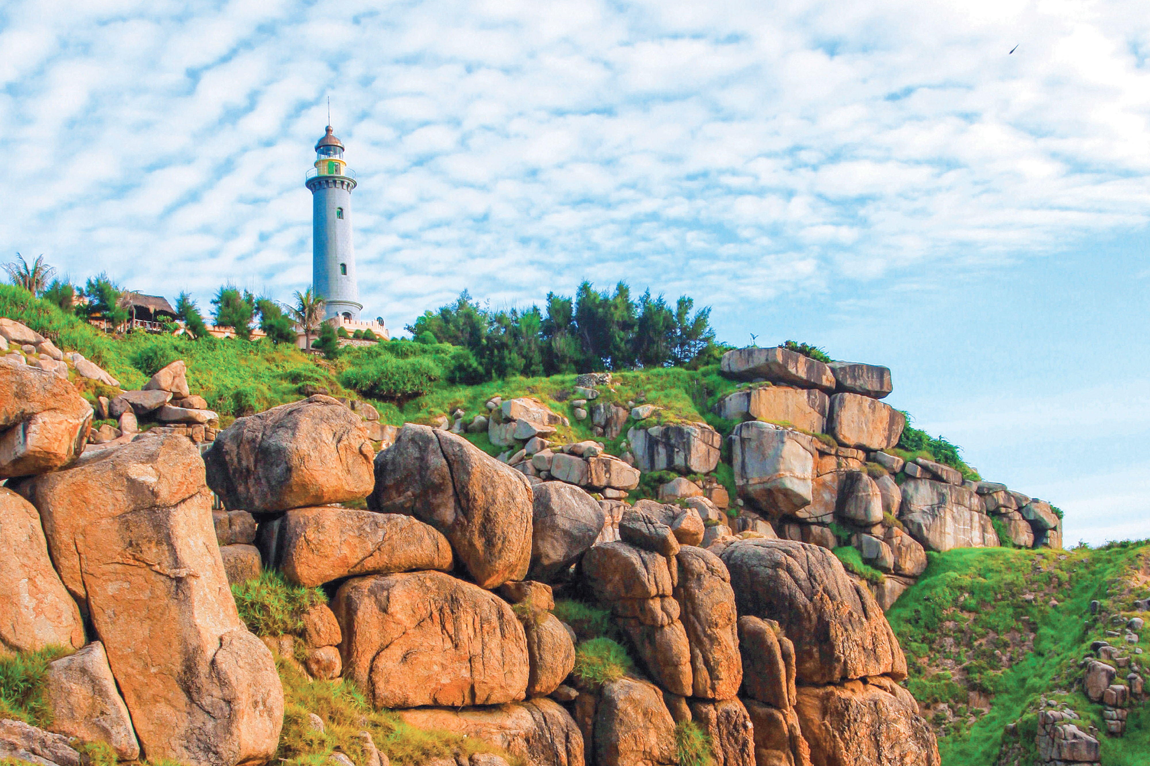 Kế hoạch Sản xuất kinh doanh hàng năm