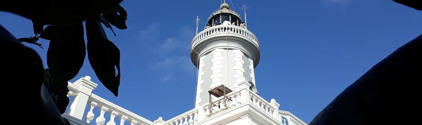 Báo cáo thực trạng quản trị và cơ cấu tổ chức